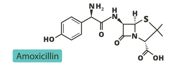 istock Amoxicillin Beta Lactam Antibiotic Drug. Chemical And Skeletal Formula. 2150400380
