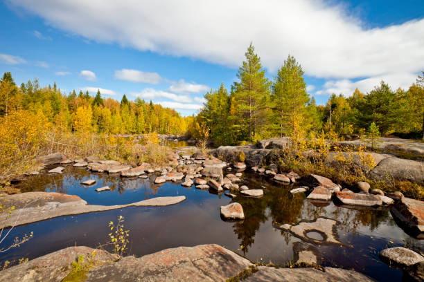 An exquisite autumn landscape featuring vibrant, colorful foliage, a peaceful and tranquil river flowing gently, scattered rugged stones dotting the ground, all beneath a stunningly clear blue sky