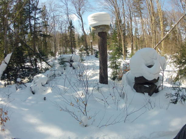 istock Snow on top of large rock on tall tree stump. 2150402545