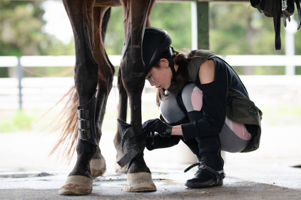 istock girl preparing for horseback riding 2150402900