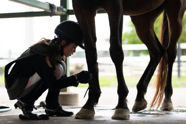 istock girl preparing for horseback riding 2150402902