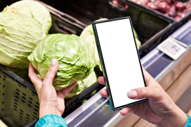 istock Cabbage vegetable in hand and smartphone isolated white 2150404930
