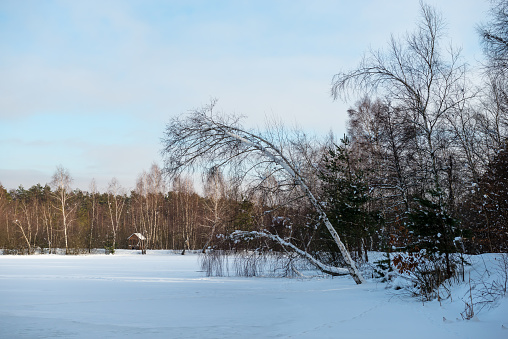 Hamilton - Gage Park in the Winter