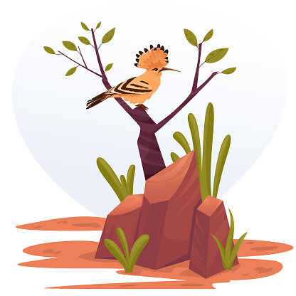 Eurasian Hoopoe or Common hoopoe (Upupa epops) sitting on the branch. Bird cute cartoon style beautiful character of ornithology, vector illustration of a piece of African landscape