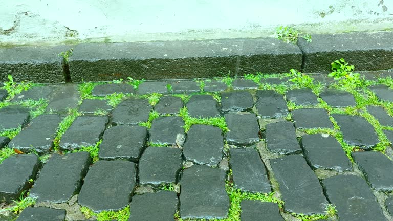 raining on cobblestones of an old road