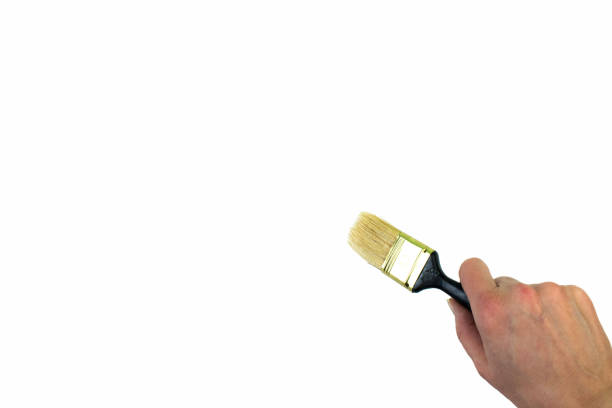 Hand holding painting brush on white background