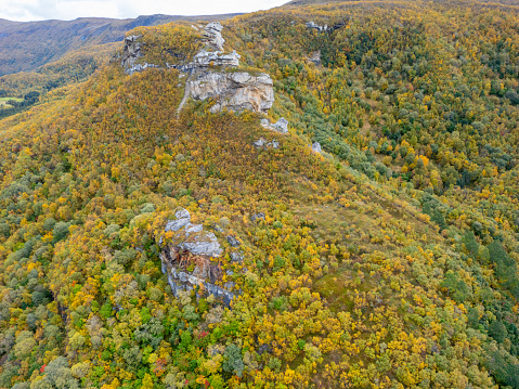 An aerial view of a lush forest in the midst of autumn. The foliage displays a mosaic of colors with shades of yellow, orange, green, and hints of red, signaling the change of seasons. Rocky outcrops can be seen amidst the sea of trees, providing a textural contrast to the soft canopy. This tranquil top-down perspective offers a unique look at the natural beauty of a deciduous woodland during the fall.