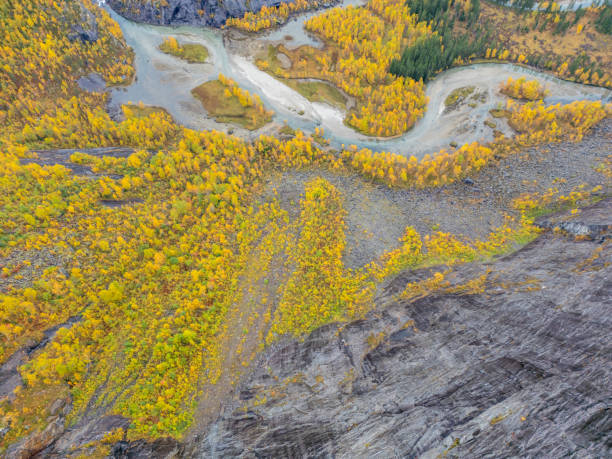 A bird's-eye view of a mountain river valley in full autumn colors. The river winds through the colorful foliage, with rugged mountains in the background. The meandering river creates interesting patterns in the valley, adding to the visual appeal of the scene.
