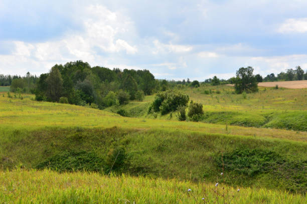 istock green grassy hills with a few trees and a sky with clouds 2150414270