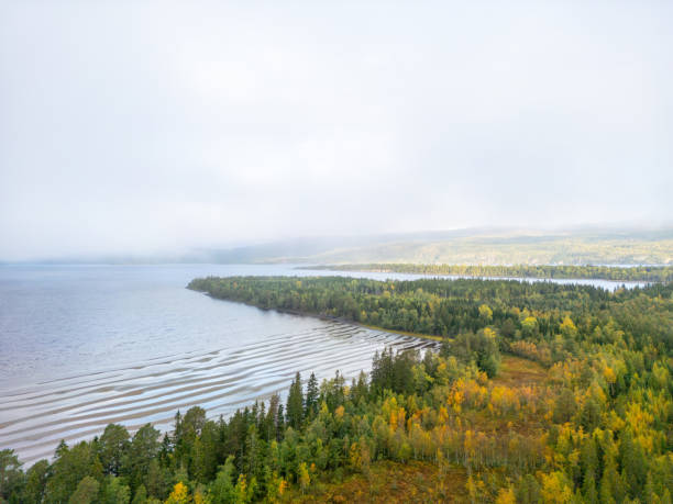 A lakeside wrapped in mist, next to a forest changing for fall. The calm lake softly shapes patterns in the sand, seen through the clear shallow water. Overhead, the forest shows off early fall colors, mainly yellows and greens among the treetops. Far-off fog brings a touch of mystery and peace, covering everything in a gentle, blurry light.