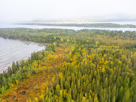 A lakeside wrapped in mist, next to a forest changing for fall. The calm lake softly shapes patterns in the sand, seen through the clear shallow water. Overhead, the forest shows off early fall colors, mainly yellows and greens among the treetops. Far-off fog brings a touch of mystery and peace, covering everything in a gentle, blurry light.