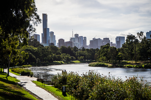 View of Melbourne's towers from royal botanic garden