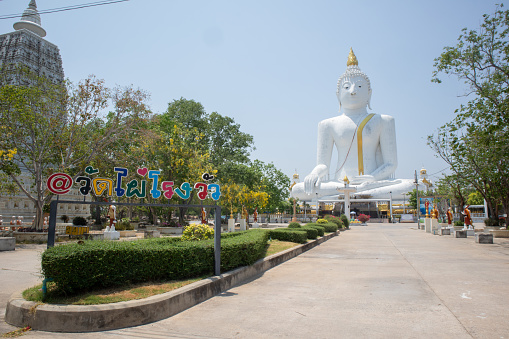 Suphan Buri, Thailand - April 21, 2024 : Buddha Statue and landscape view in Wat Phai Rong Wua at Suphan Buri, Thailand