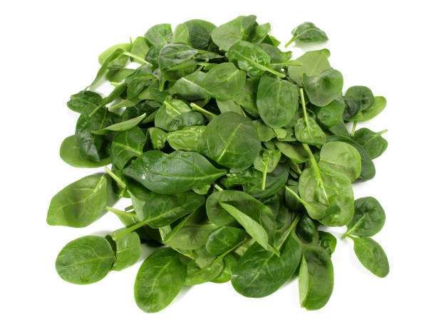 istock Fresh Baby Spinach on white Background 2150420642