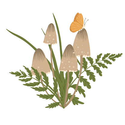 Mushroom isolated element. Autumn honey agaric with fern leaves, butterfly. Fall mushrooms vector illustration for sticker, logo, print. White background.