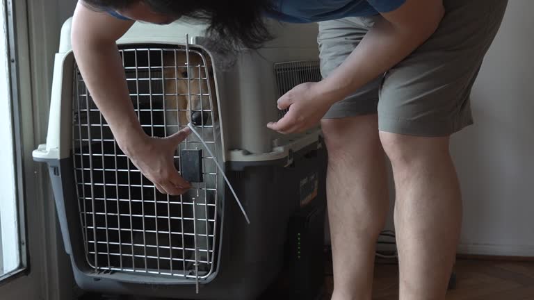 Latin guy puts his dog inside a travel cage. Slow motion.