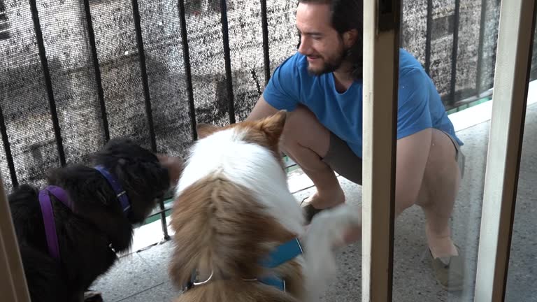Mexican guy playfully feeding his dogs on the balcony. Slow motion.