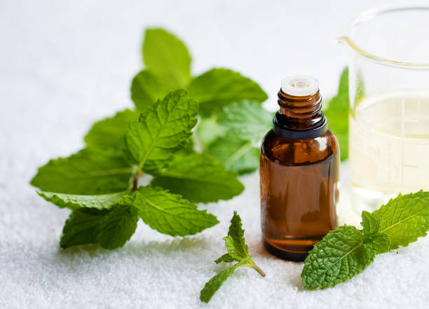 istock Peppermint Essential Aromatherapy oil on white background 2150430113