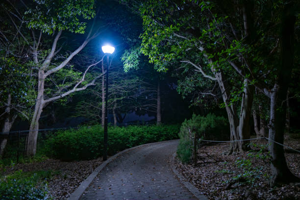 istock Late night park and street lights 2150430133