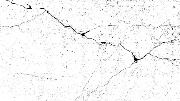 Worn black grunge texture Cracked black grunge texture. Crack on white background. Soil overlay textured. Grain noise particles. Dry effect. Torn ground pattern. Vector illustration, EPS 10. cracked stock illustrations