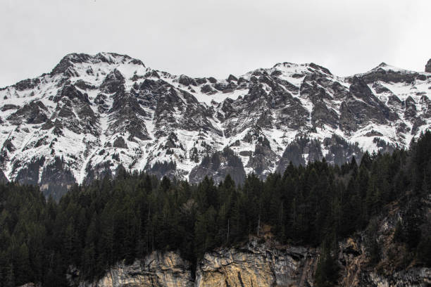 Snowy mountains, forest and rocks nature lanscape Switzerland