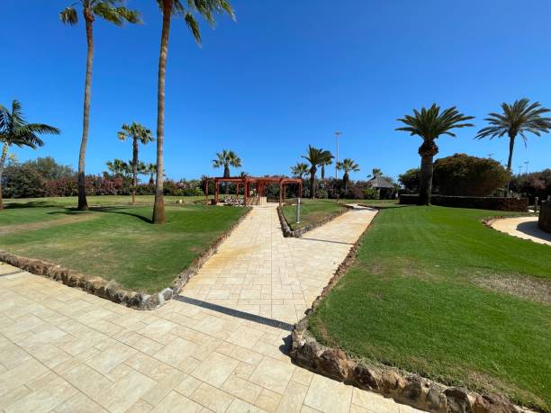 istock alleys in the garden with palm trees 2150432329