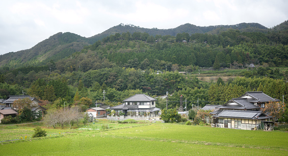 Old style residential and house traditional japan country side with rice field and mountain in kyoto japan