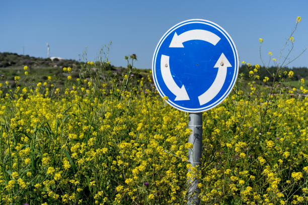 Roundabout traffic sign surrounded by vibrant yellow wildflowers under a clear blue sky.