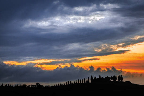 Tuscan scenery with cypress trees silhouette during a dramatic sunset. Photo taken on 25th of October 2023 in Val dOrcia, near Siena, Tuscany region, Italy.