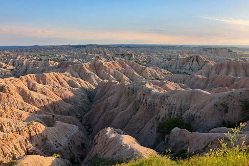 Rugged dry hills of the badlands surrounded by drying prairie grass and wild sunflowers at sunset.