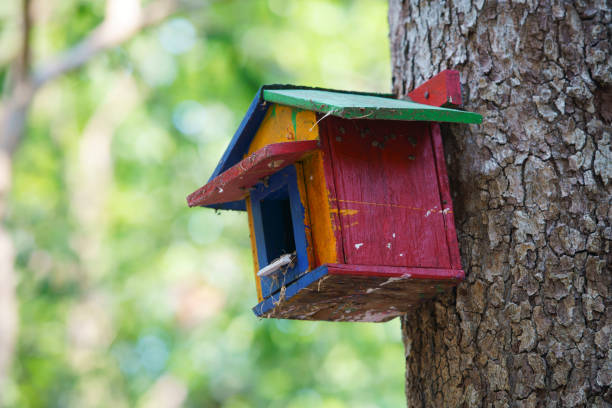 istock wooden bird house 2150437676
