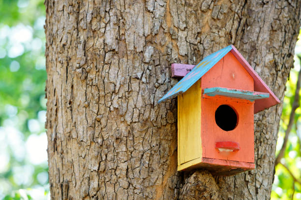istock wooden bird house 2150437681