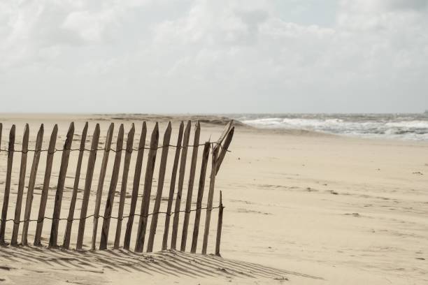 istock wooden fence on the sandy beach 2150438403