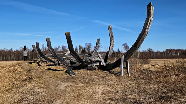Remains of an old wooden viking boat on a field