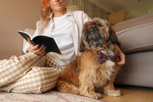 woman with adorable Shih Tzu dog at home. Free and happy time with pets concept