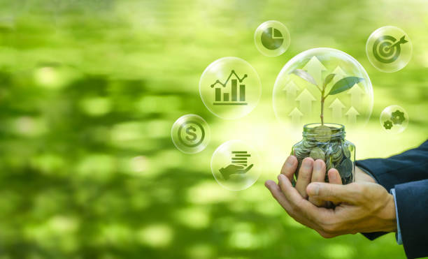 istock Plants growing on coins Creating renewable energy is essential for the future. Green businesses that use renewable energy can limit climate change and global warming. 2150441618