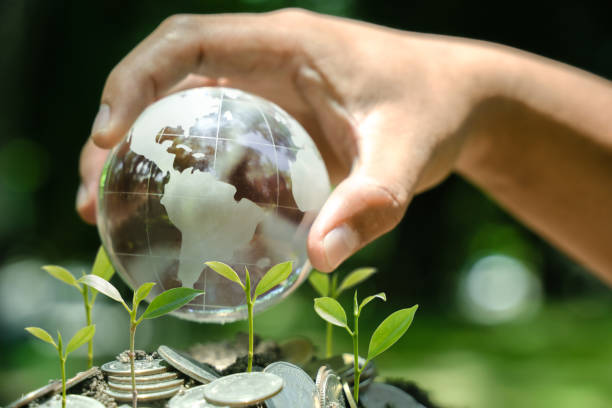 istock Green globe and growing tree in human hand green background with sky Protect the environment keep the world clean ecological concept Card for Earth Day. 2150441760
