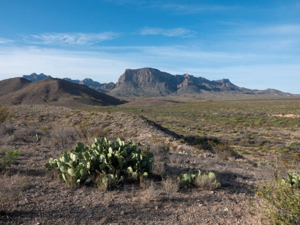 istock Big Bend National Park, Texas. 2150441880