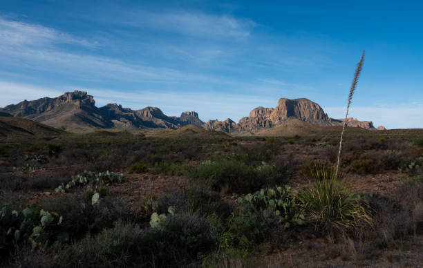 istock Big Bend National Park, Texas. 2150441886