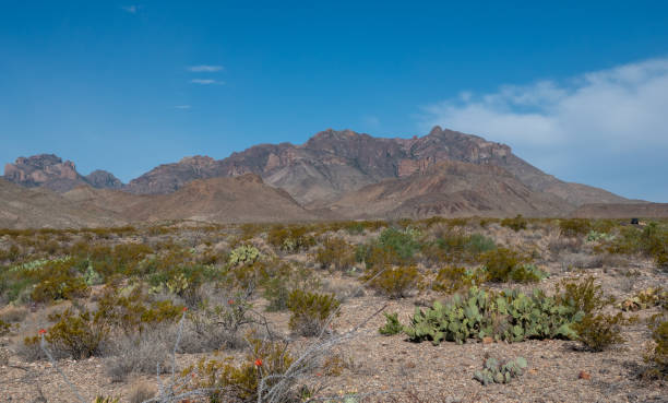 istock Big Bend National Park, Texas. 2150441912
