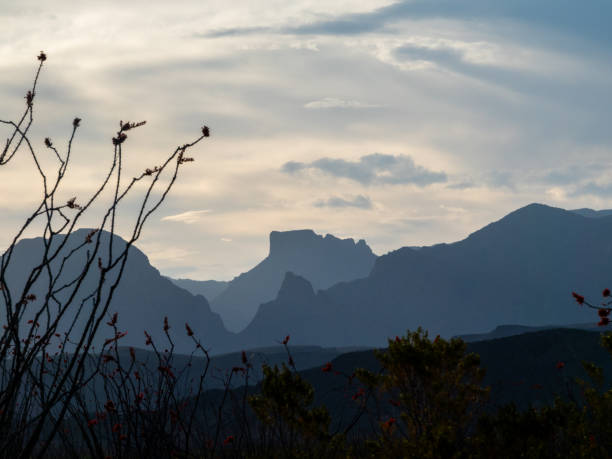Big Bend National Park, Texas.