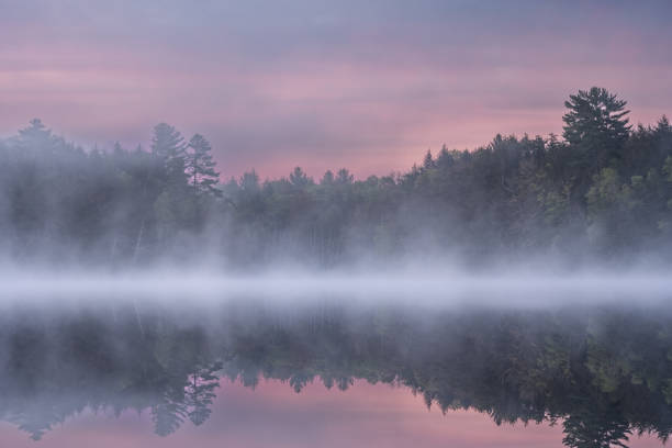 Foggy spring landscape at dawn of Pete's Lake with mirrored reflections in calm water, Hiawatha National Forest, Michigan's Upper Peninsula, US
