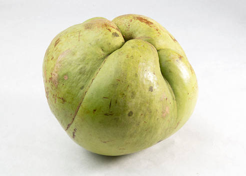 Chalta or elephant apple. A kind of sour apple. Dillenia indica.