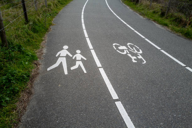 footpath and cycle path in the dutch dunes