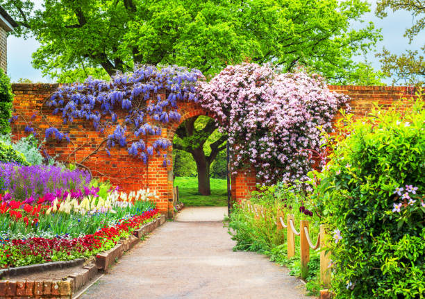 A pathway through vibrant flowerbeds in the springseason