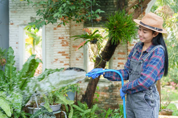 Asian woman, straw hat, waters lush greenery with hose. Satisfied smile, blue gloves on, tranquil ambiance amidst verdant plants and brick wall. flower garden owner Taking care of trees for sale mujer asiática, sombrero de paja, riega exuberante vegetación con manguera. sonrisa satisfecha, guantes azules, ambiente tranquilo en medio de plantas verdes y paredes de ladrillo. propietario de un jardín de flores cuidando árboles en venta