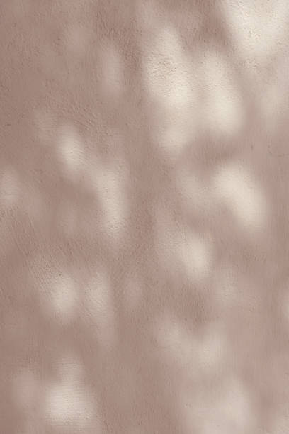 istock Nature shadows white wall at sunrise. 2150447096