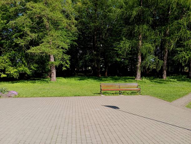 istock Reise in the spring park with a large area paved with cobblestones, next to which a bench is mounted for rest. The shadow of the flagpole is reflected on the surface of the cobblestones in the park. In the background is a dense forest. 2150448858