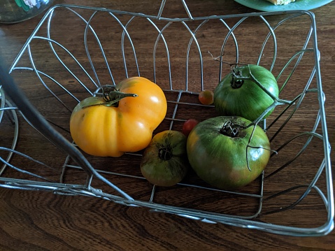 Green and yellow tomatoes in a basket on the table in the kitchen