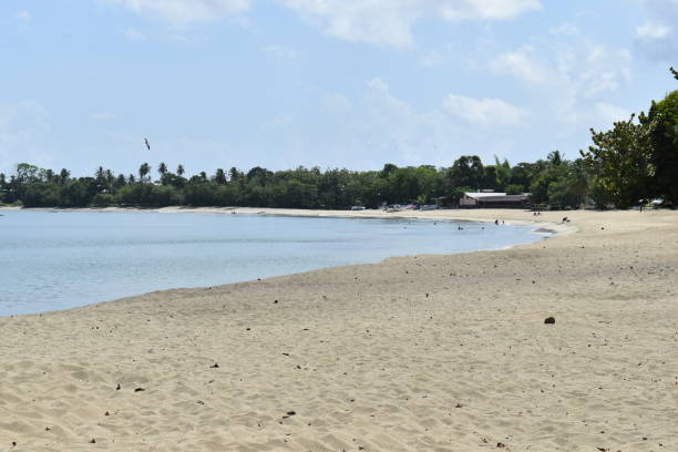 istock Turtle Beach, Tobago, West indies. 2150453441